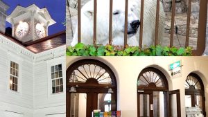 2千円でおつりがくる札幌観光スポット巡り