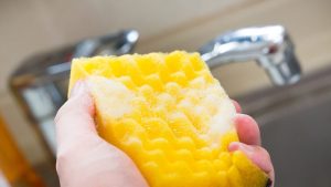 食器用洗剤は薄めて使って一石三鳥